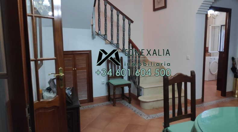 Sevilla - Pruna - 121m2