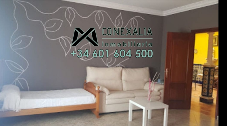 Cádiz - Olvera - 235m2