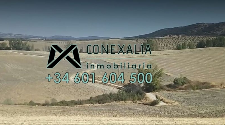 Málaga - Ronda - 30000m2