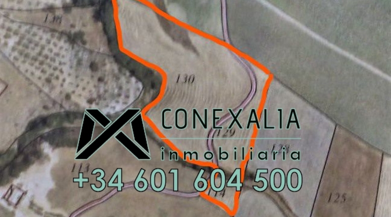 Málaga - Ronda - 30000m2