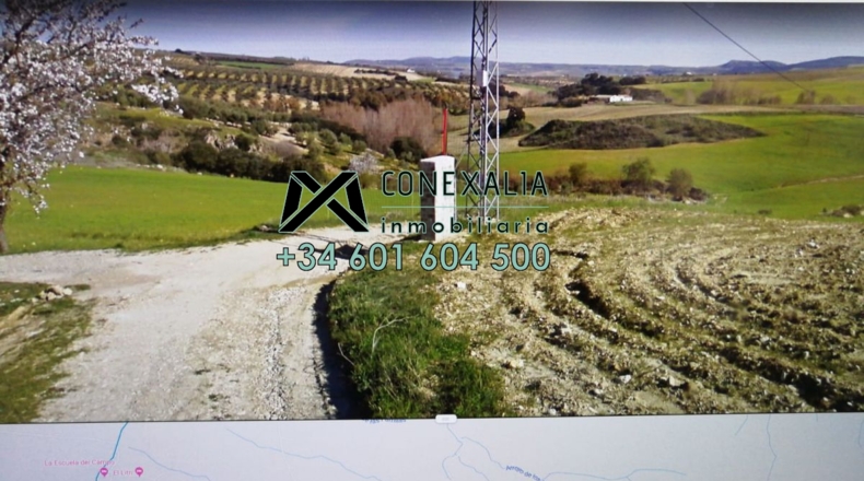 Málaga - Ronda - 30000m2