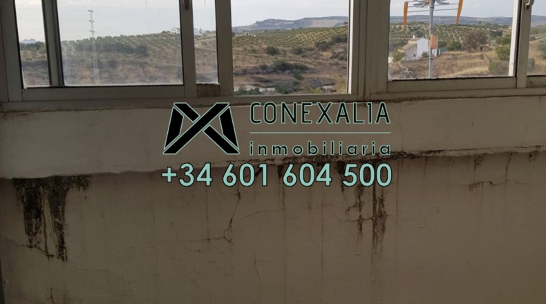 Cádiz - Setenil de las Bodegas - 130m2