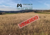 Non-developable land for sale in Setenil de las Bodegas ref: TR54520 photo