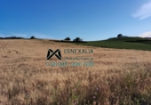Non-developable land for sale in Setenil de las Bodegas ref: TR54520 photo