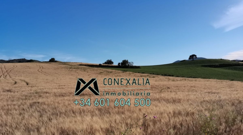 Cádiz - Setenil de las Bodegas - 51250m2