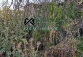 Non-developable land for sale in Setenil de las Bodegas ref: TR54520 photo