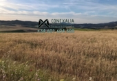 Non-developable land for sale in Setenil de las Bodegas ref: TR54520 photo