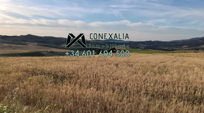 Cádiz - Setenil de las Bodegas - 51250m2