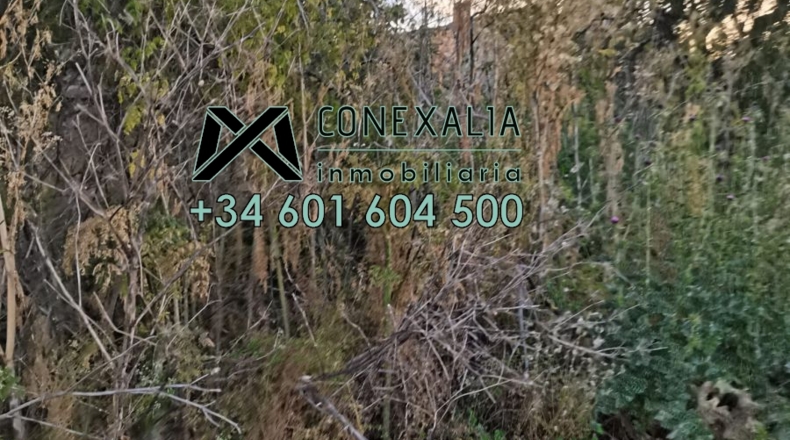 Cádiz - Setenil de las Bodegas - 51250m2