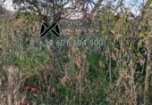 Non-developable land for sale in Setenil de las Bodegas ref: TR54520 photo