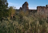 Non-developable land for sale in Setenil de las Bodegas ref: TR54520 photo