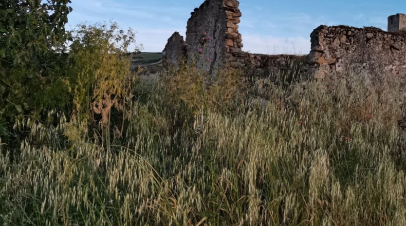 Cádiz - Setenil de las Bodegas - 51250m2