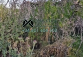 Non-developable land for sale in Setenil de las Bodegas ref: TR54520 photo