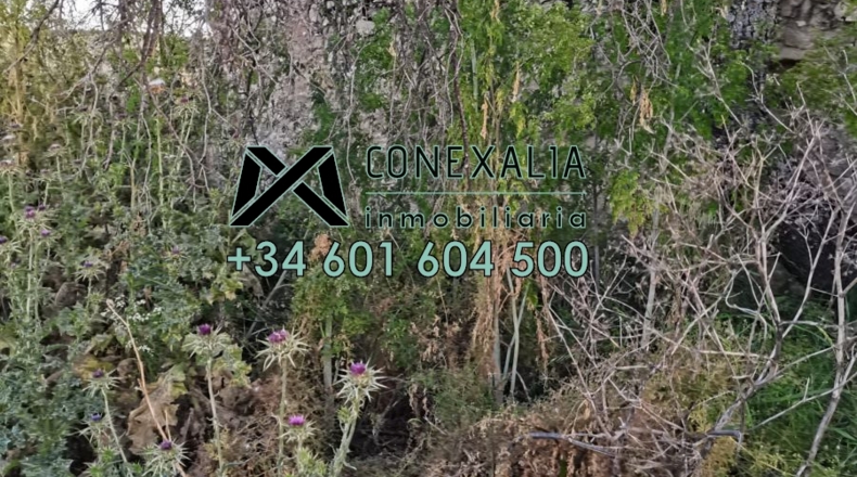 Cádiz - Setenil de las Bodegas - 51250m2