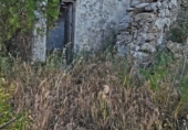 Non-developable land for sale in Setenil de las Bodegas ref: TR54520 photo