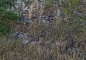 Non-developable land for sale in Setenil de las Bodegas ref: TR54520 photo