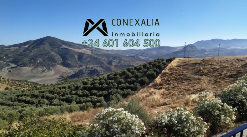 Cádiz - Olvera - 219m2