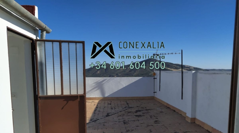 Cádiz - Olvera - 219m2