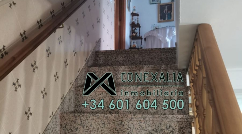 Cádiz - Setenil de las Bodegas - 61m2