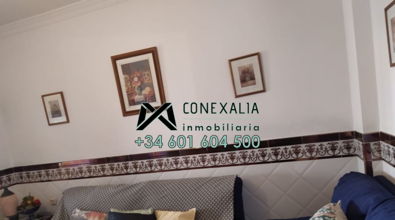 Cádiz - Olvera - 166m2