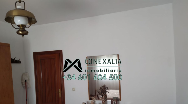 Cádiz - Olvera - 166m2