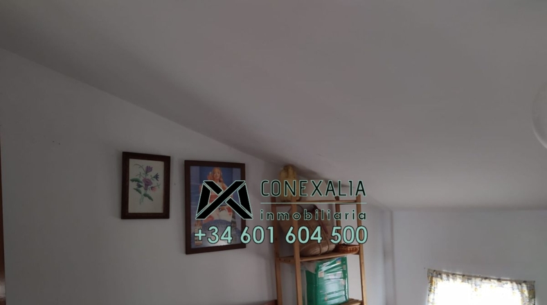 Cádiz - Olvera - 166m2
