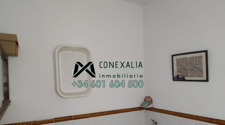 Cádiz - Olvera - 166m2
