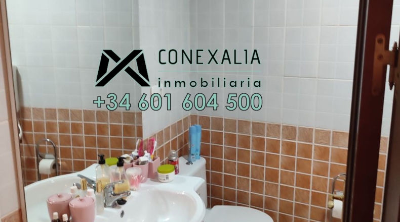 Cádiz - Setenil de las Bodegas - 43m2