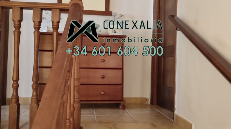 Cádiz - Setenil de las Bodegas - 43m2