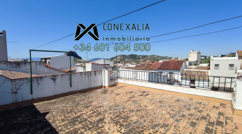 Sevilla - Pruna - 211m2
