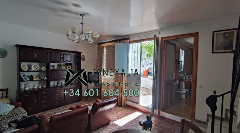 Sevilla - Pruna - 211m2