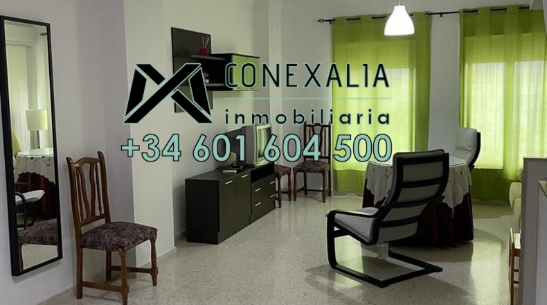 Cádiz - Olvera - 100m2