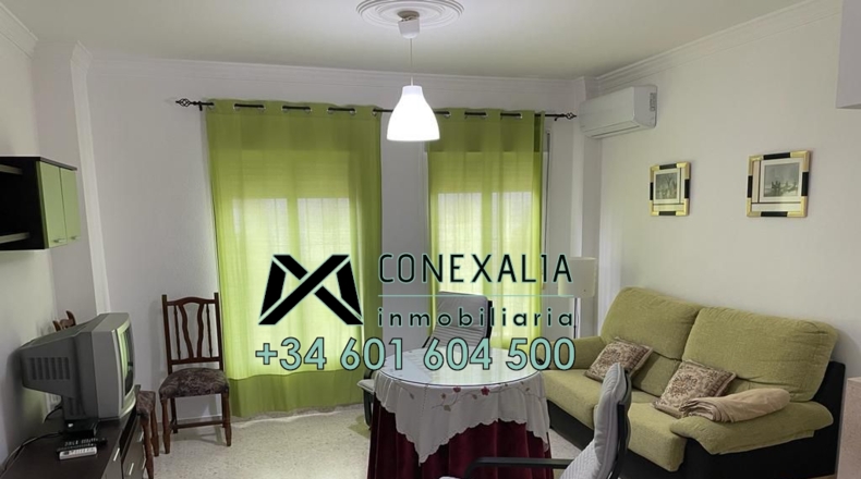 Cádiz - Olvera - 100m2
