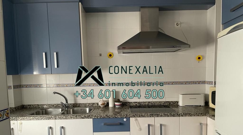 Cádiz - Olvera - 100m2