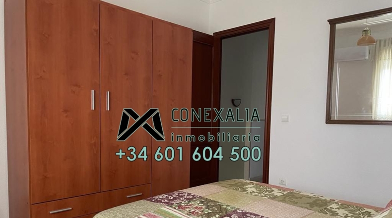Cádiz - Olvera - 100m2