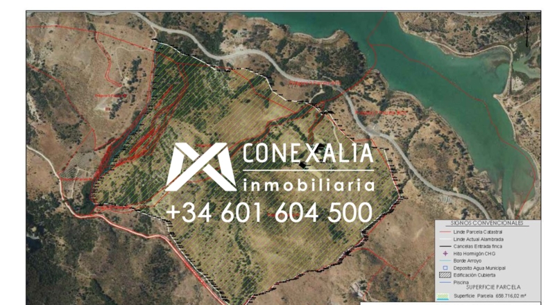Cádiz - El Gastor - 658716m2