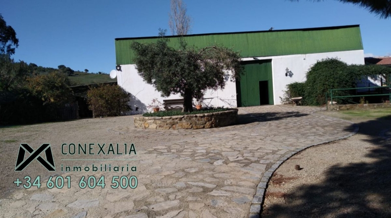 Cádiz - El Gastor - 658716m2