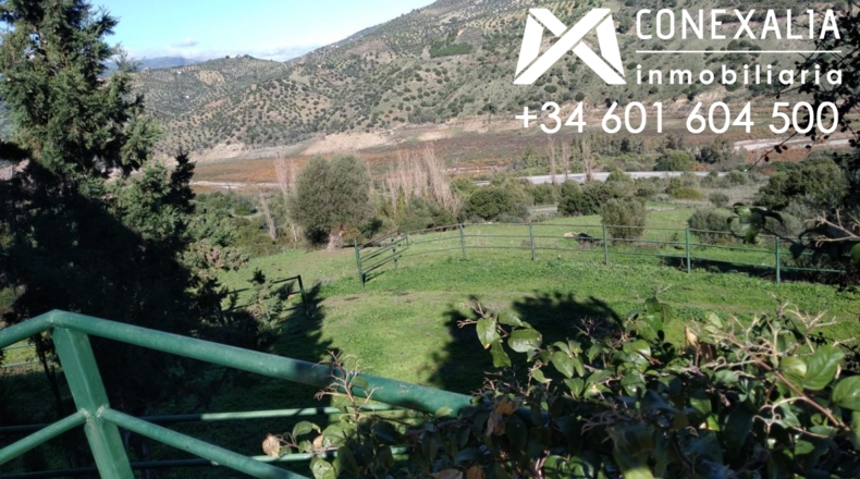 Cádiz - El Gastor - 658716m2