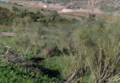 Finca rústica en venda a El Gastor ref.: TR67381 foto
