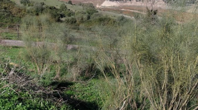 Cádiz - El Gastor - 658716m2