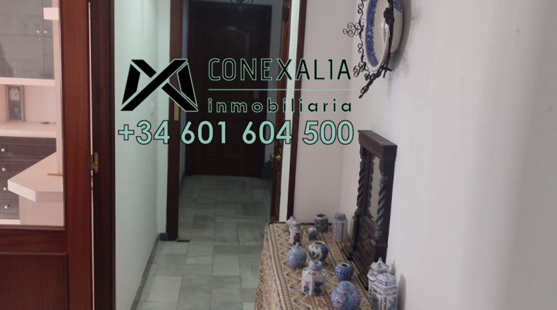 Cádiz - Setenil de las Bodegas - 106m2
