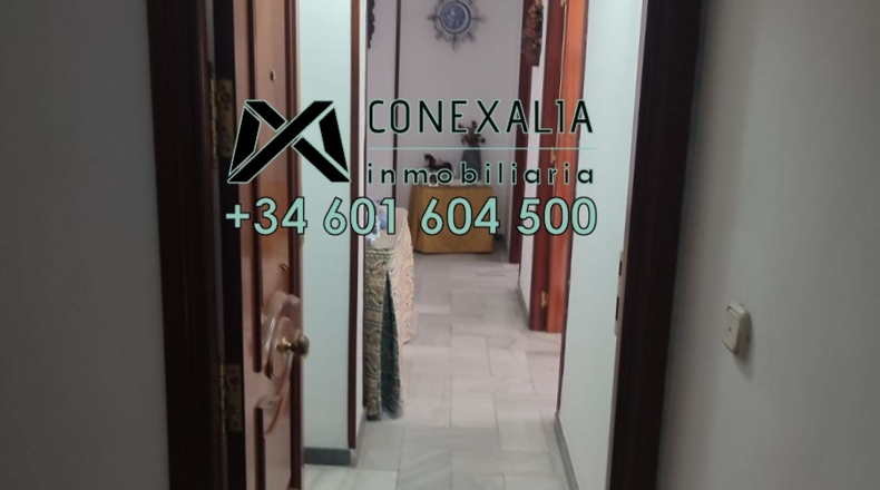 Cádiz - Setenil de las Bodegas - 106m2