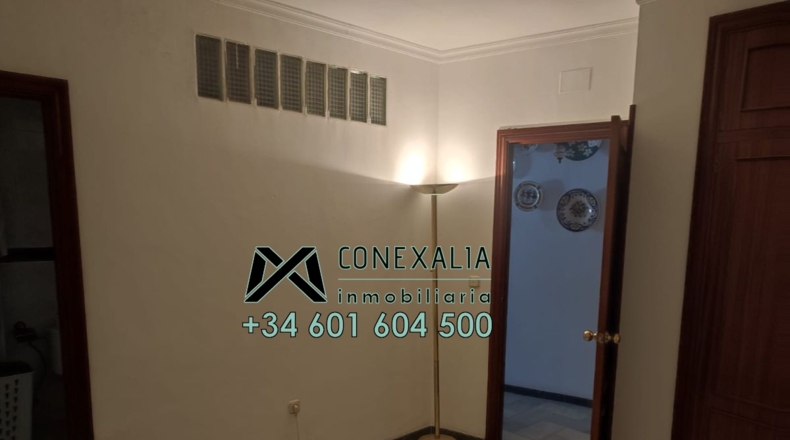 Cádiz - Setenil de las Bodegas - 106m2