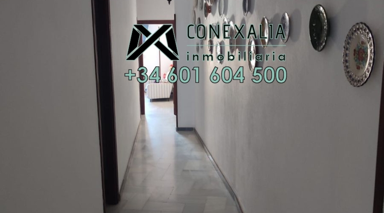 Cádiz - Setenil de las Bodegas - 106m2