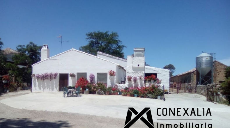 Cádiz - Olvera - 2910382m2