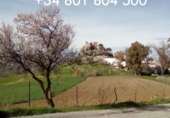 Finca rústica en venda a la España, Olvera, ref.: TR98832 foto