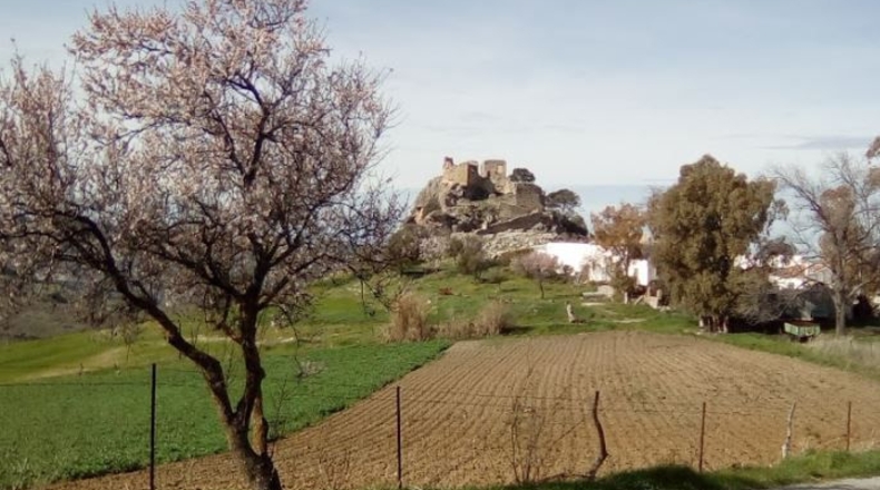 Cádiz - Olvera - 2910382m2