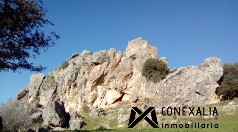 Cádiz - Olvera - 2910382m2
