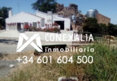 Finca rústica en venda a la España, Olvera, ref.: TR98832 foto