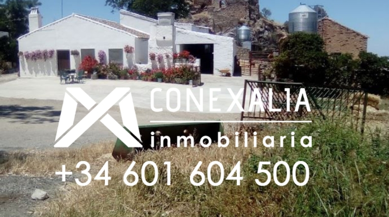 Cádiz - Olvera - 2910382m2